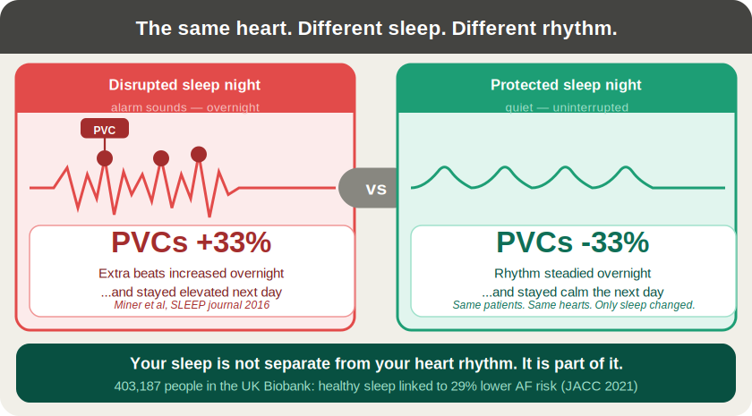 The same heart, different sleep, different rhythm: disrupted sleep increases PVCs by 33%, protected sleep decreases them by 33%.